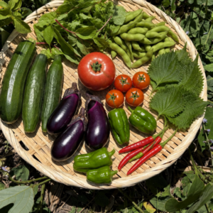 旬の野菜10種セット｜たっぷりサイズ