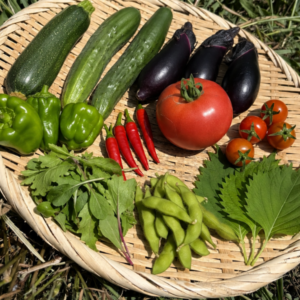 旬の野菜10種セット